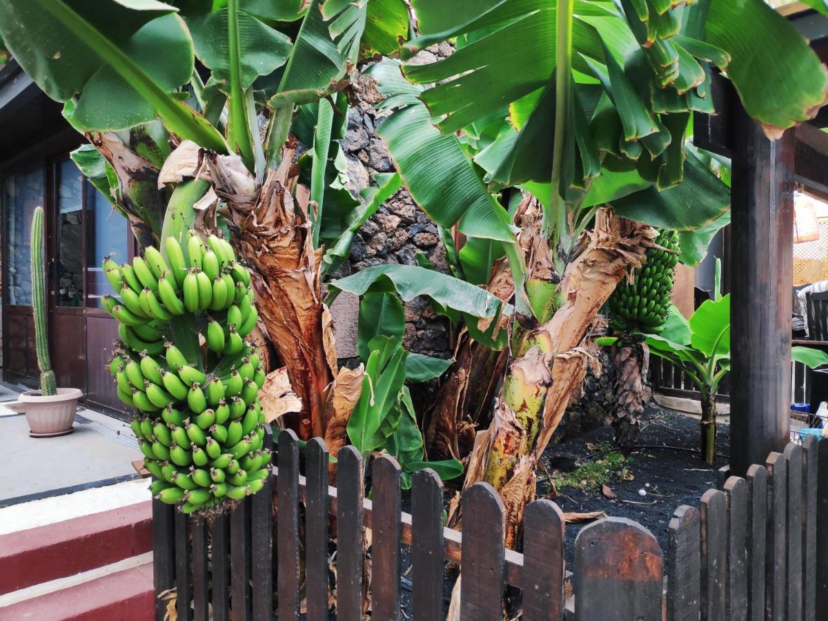 Finca Villa Lucia - El Mirador Mácher エクステリア 写真