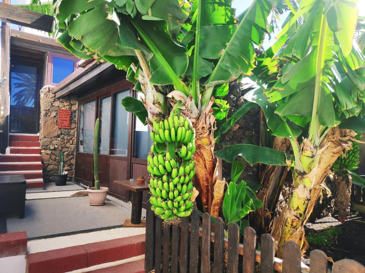 Finca Villa Lucia - El Mirador Mácher エクステリア 写真